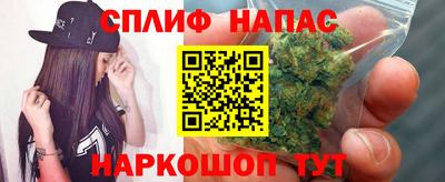 стафф Апшеронск